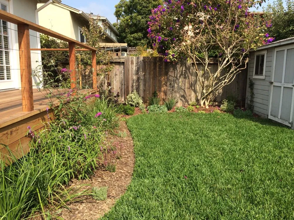 Reliable outdoor landscaping experts serving Berkeley, CA - Green Gallery Landscaping