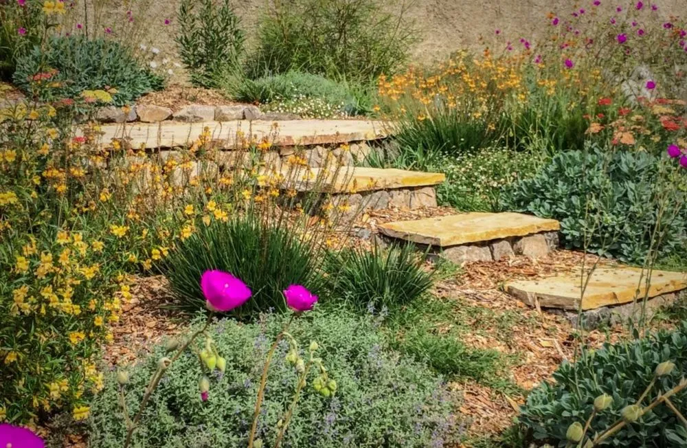 Local yard cleanup service in Berkeley, CA by Green Gallery Landscaping