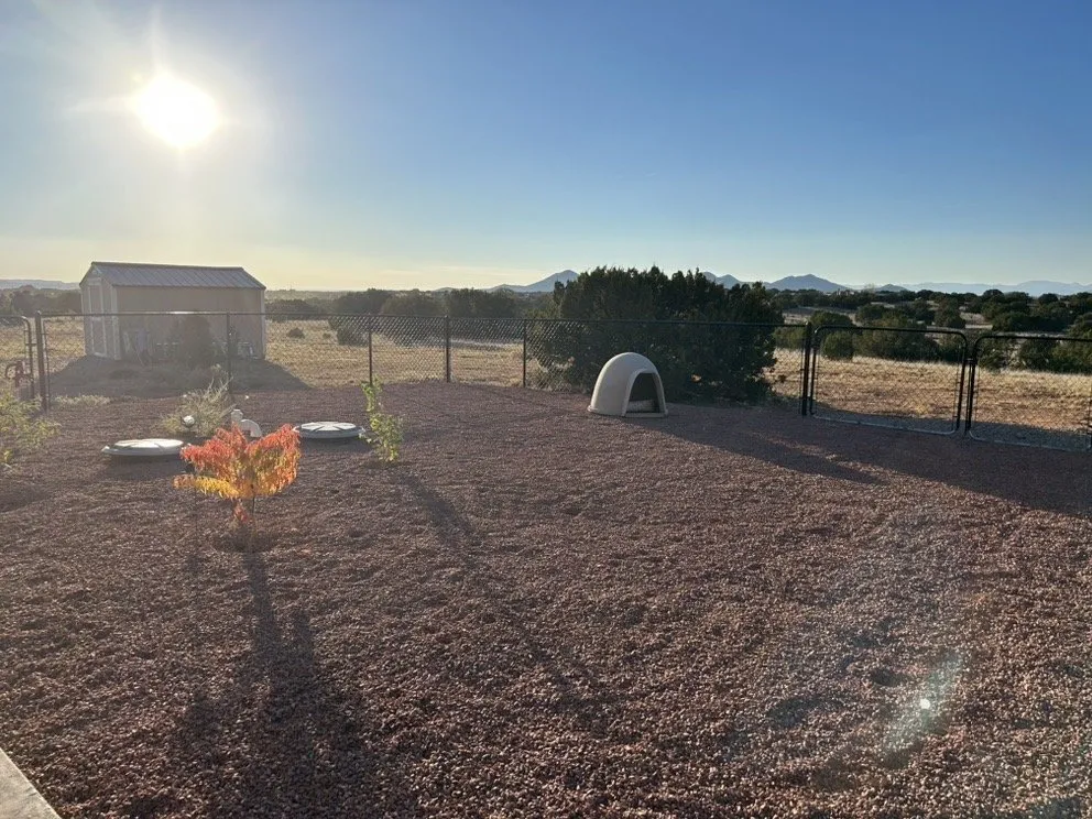 Professional lawn care service with custom design in Santa Fe, NM by Green Garden And Handyman