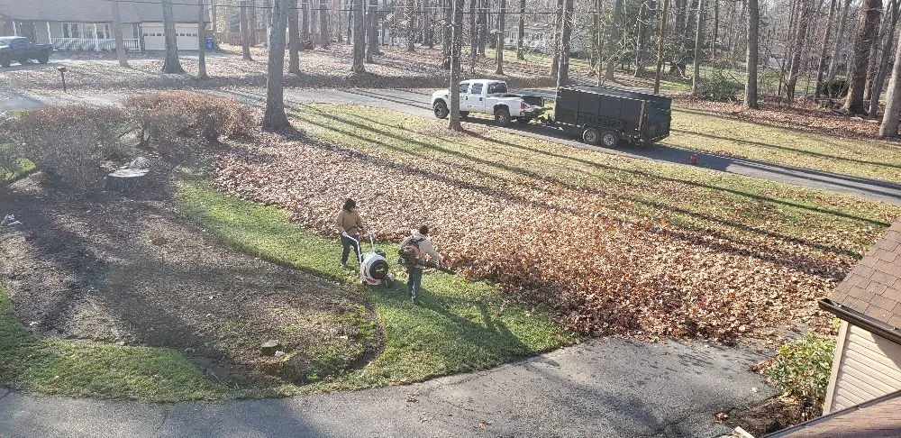 Professional yard cleanup service in Takoma Park, MD by Green Garden Design Landscaping