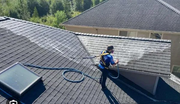 Green Garden Landscaping