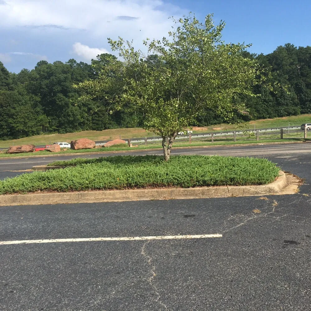 Custom garden landscaping experts serving Sanford, NC - Green Garden Landscaping