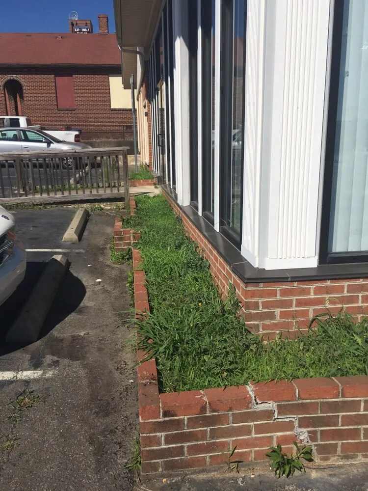 Affordable garden landscaping for year-round maintenance across Sanford, NC - Green Garden Landscaping