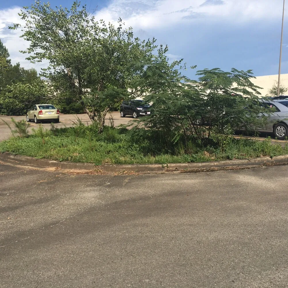 Affordable yard maintenance experts serving Sanford, NC - Green Garden Landscaping