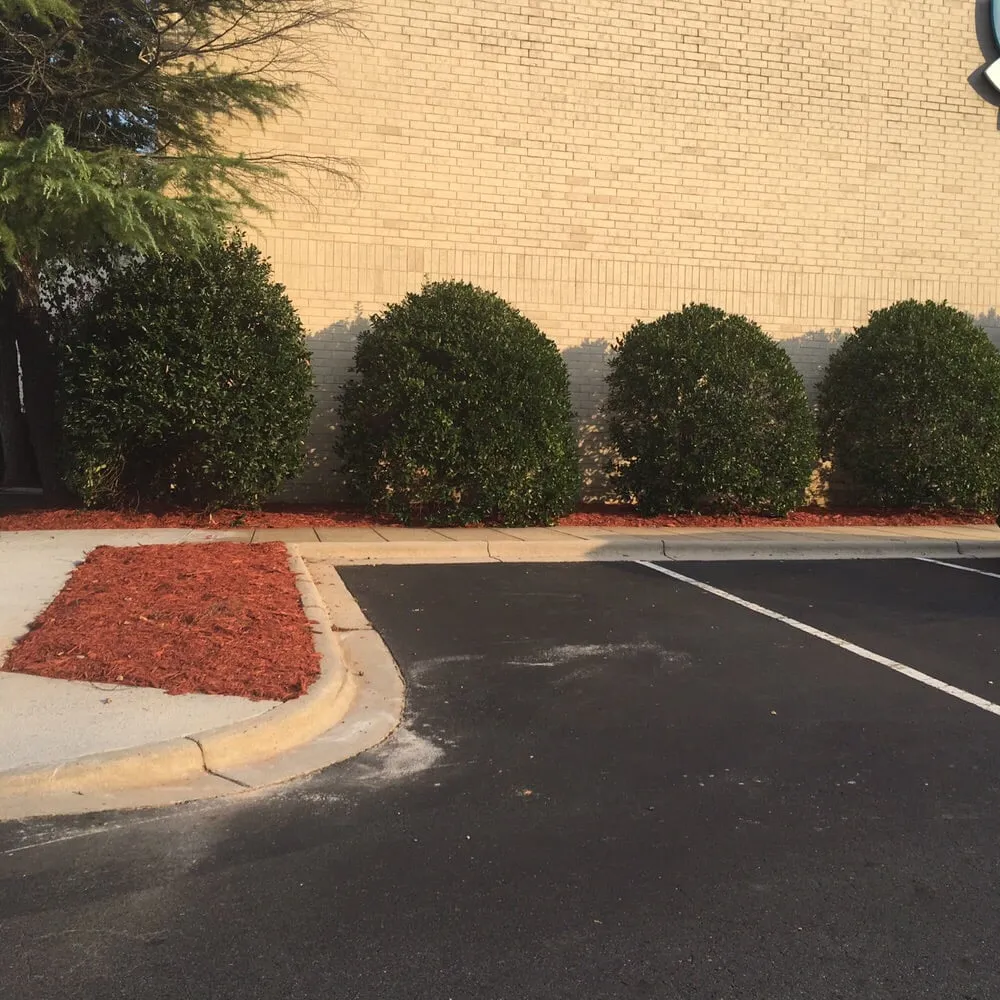 Reliable outdoor landscaping experts serving Sanford, NC - Green Garden Landscaping