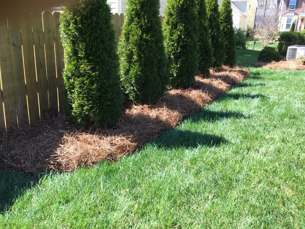 Custom yard maintenance with custom design across Sanford, NC - Green Garden Landscaping