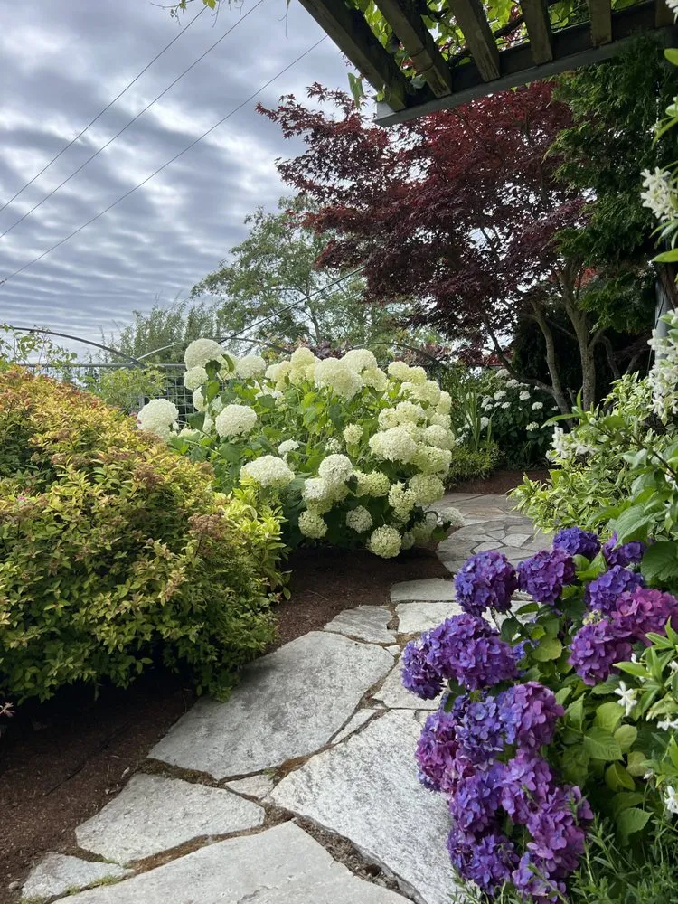 Trusted outdoor landscaping for beautiful yards in Seattle, WA by Green Garden Landscaping