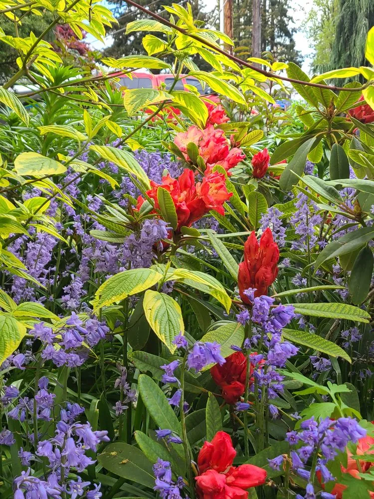 Top-rated garden landscaping in Seattle, WA by Green Garden Landscaping