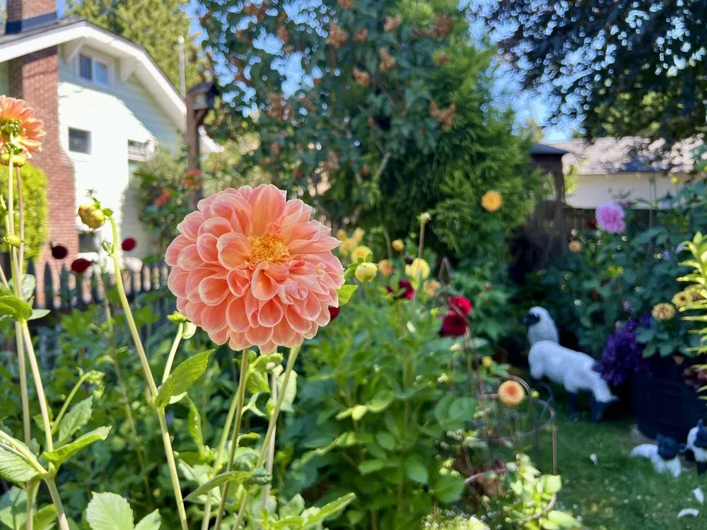 Trusted landscape installation in Seattle, WA - Green Garden Landscaping