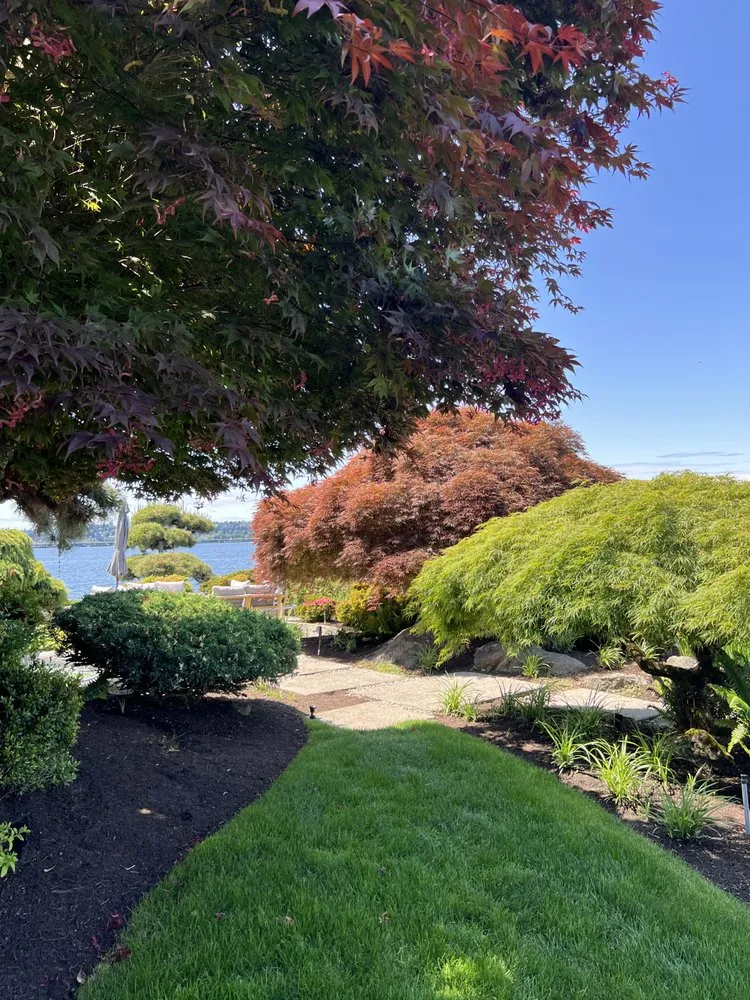 Professional yard cleanup service in Seattle, WA by Green Garden Landscaping