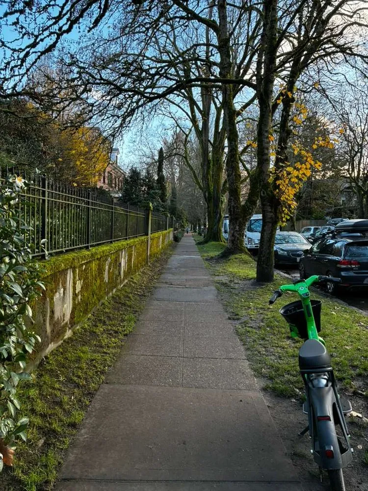 Trusted landscaping services in Seattle, WA - Green Garden Landscaping