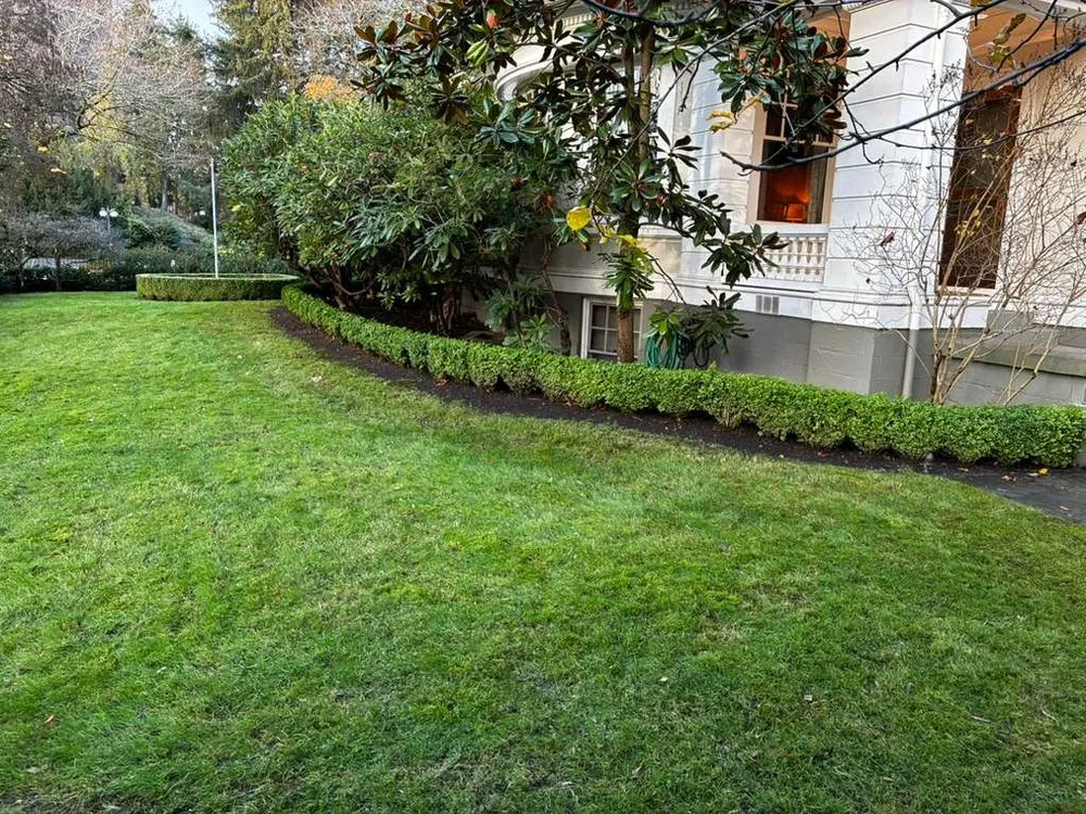 Affordable landscape design for year-round maintenance across Seattle, WA - Green Garden Landscaping