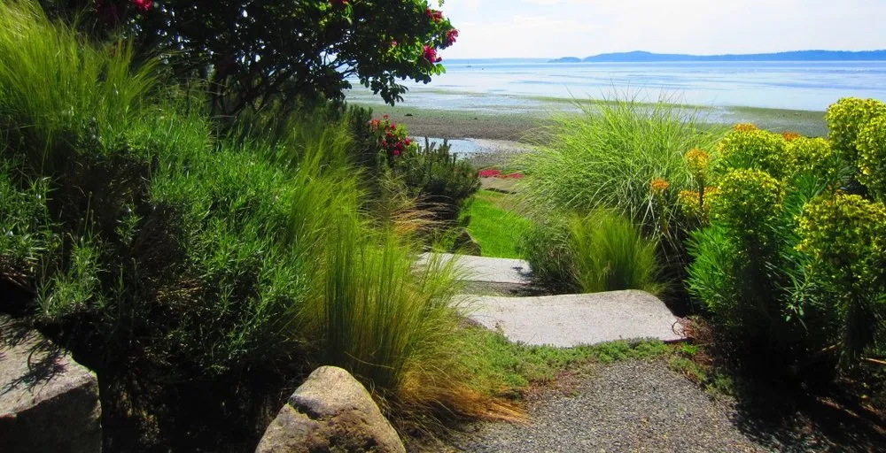 Trusted lawn care service experts serving Seattle, WA - Green Garden Landscaping