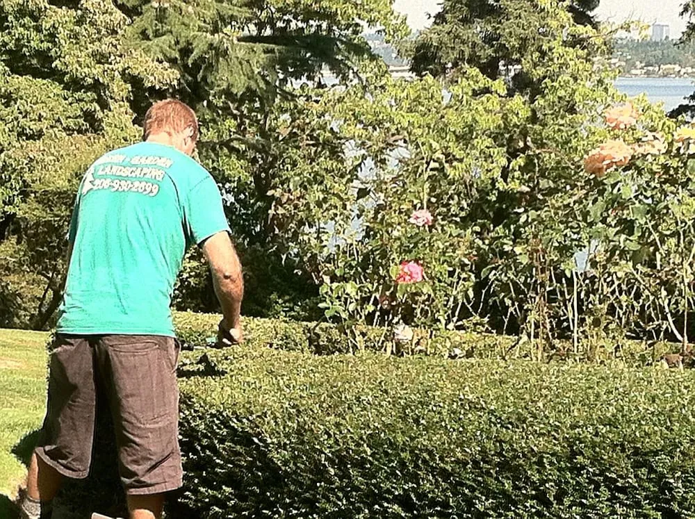 Professional yard maintenance experts serving Seattle, WA - Green Garden Landscaping
