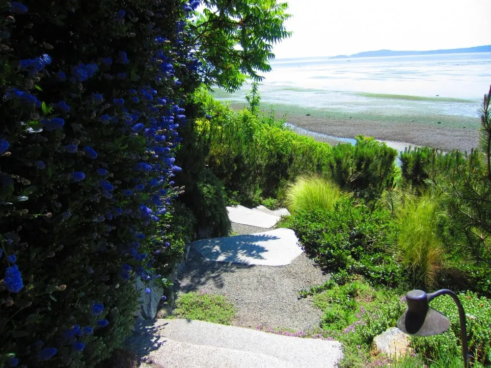 Expert yard cleanup service for year-round maintenance across Seattle, WA - Green Garden Landscaping