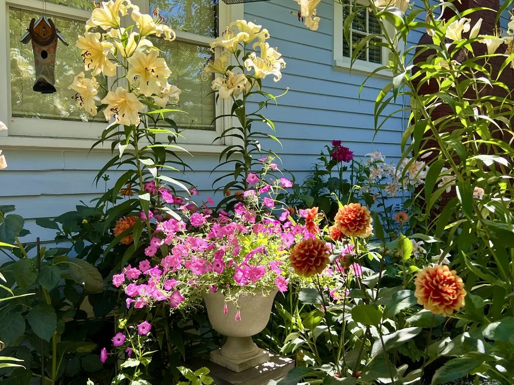 Top-rated landscape installation for beautiful yards across Seattle, WA - Green Garden Landscaping