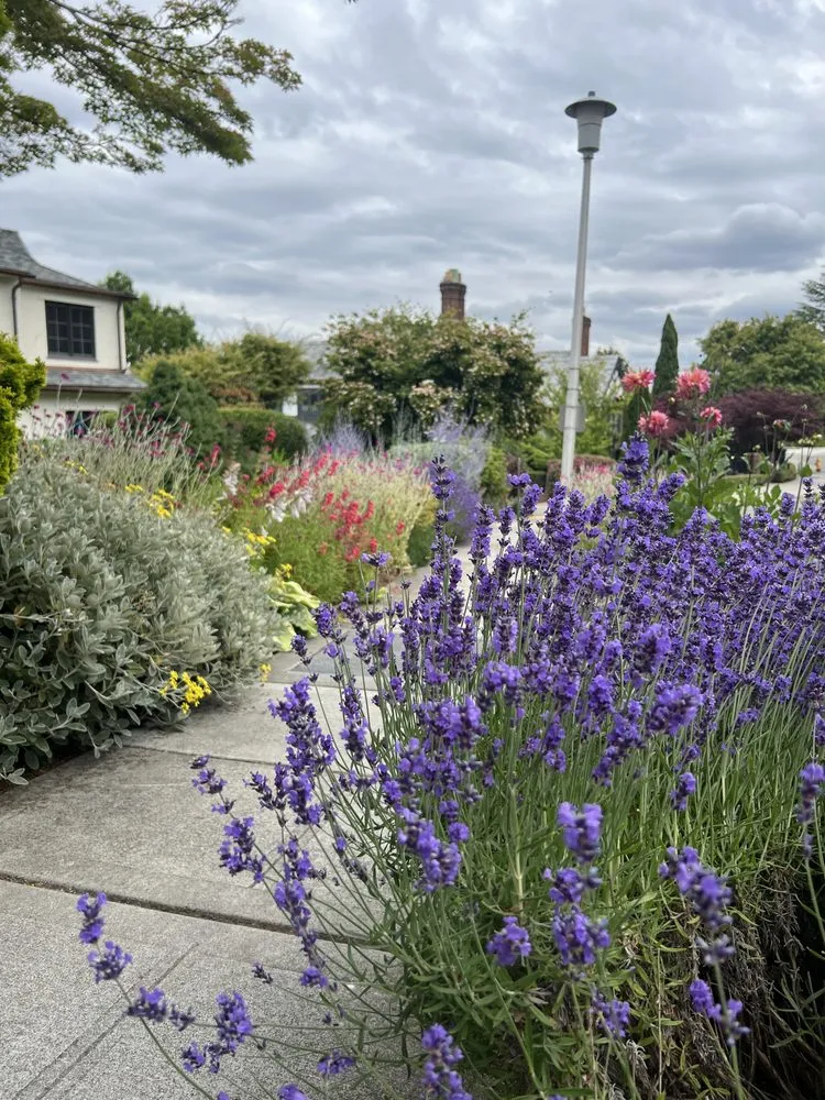 Top-rated yard maintenance in Seattle, WA by Green Garden Landscaping