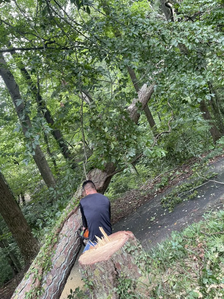 Expert residential landscaping experts serving Atlanta, GA - Green Garden Lawn & Landscape