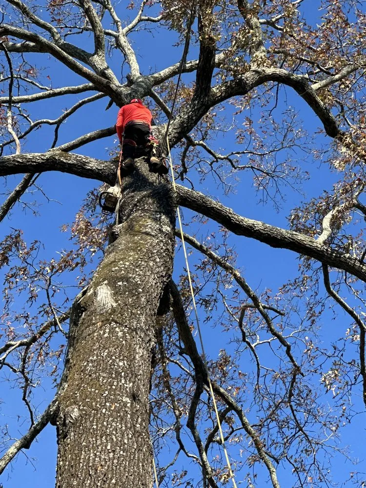 Top-rated yard maintenance in Atlanta, GA by Green Garden Lawn Care