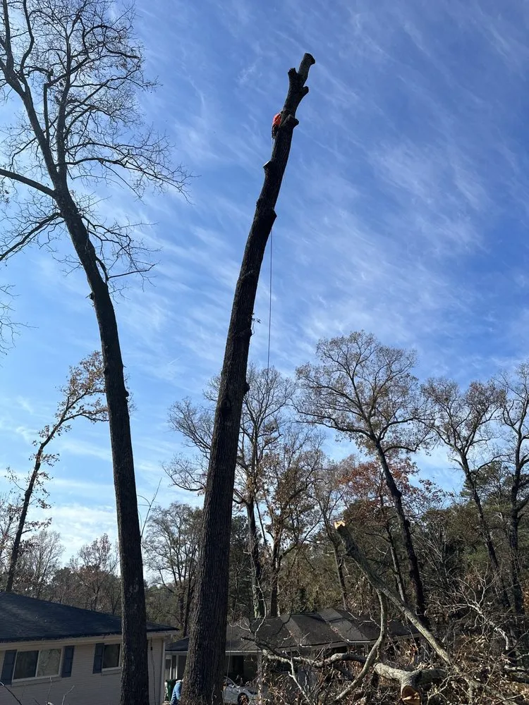 Reliable yard cleanup service with custom design in Atlanta, GA by Green Garden Lawn Care