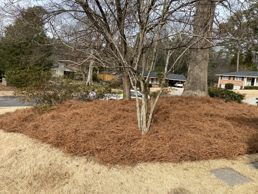 Local garden landscaping experts serving Atlanta, GA - Green Garden Lawn Care