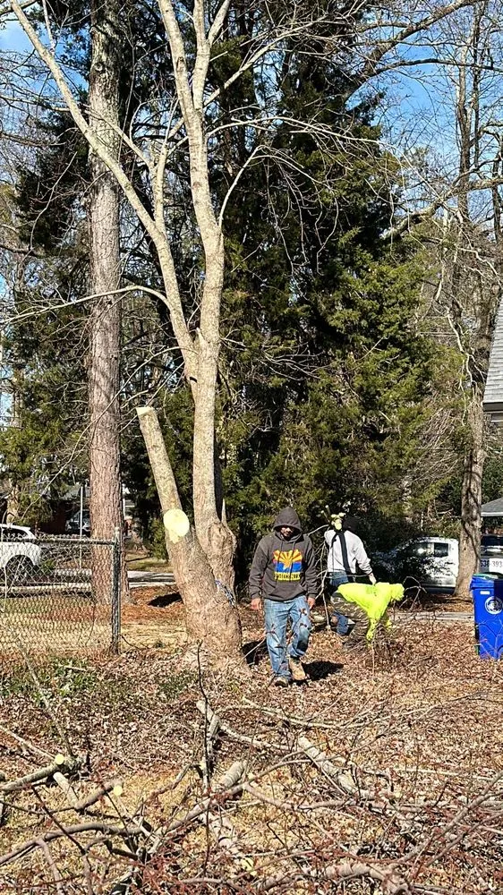 Professional outdoor landscaping with custom design across Atlanta, GA - Green Garden Lawn Care