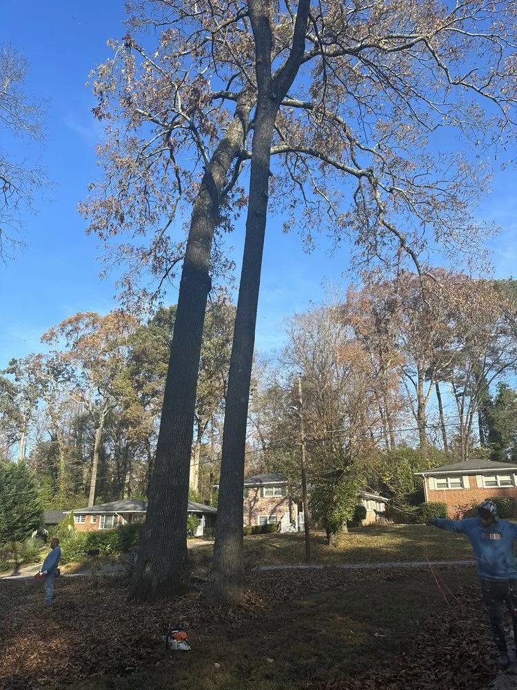 Affordable lawn mowing service experts serving Atlanta, GA - Green Garden Lawn Care