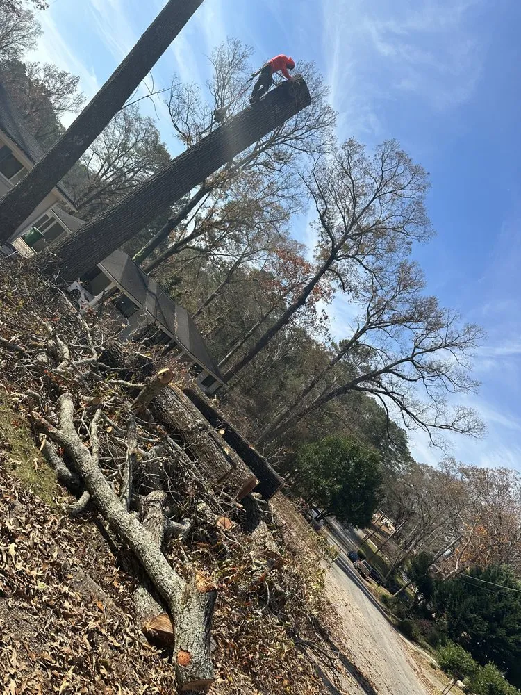 Trusted residential landscaping experts serving Atlanta, GA - Green Garden Lawn Care