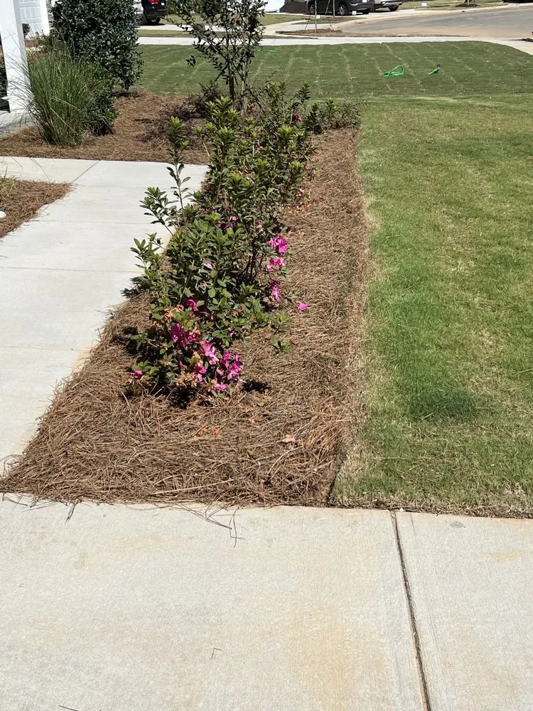 Professional yard maintenance in Monroe, NC by Green Garden Lawn Care