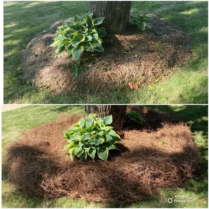 Top-rated lawn mowing service experts serving Monroe, NC - Green Garden Lawn Care