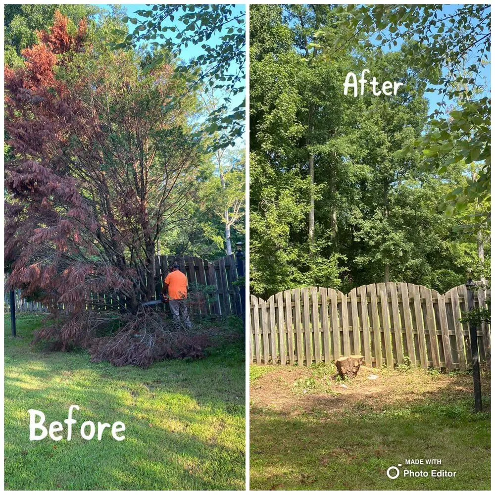 Affordable lawn care service experts serving Monroe, NC - Green Garden Lawn Care