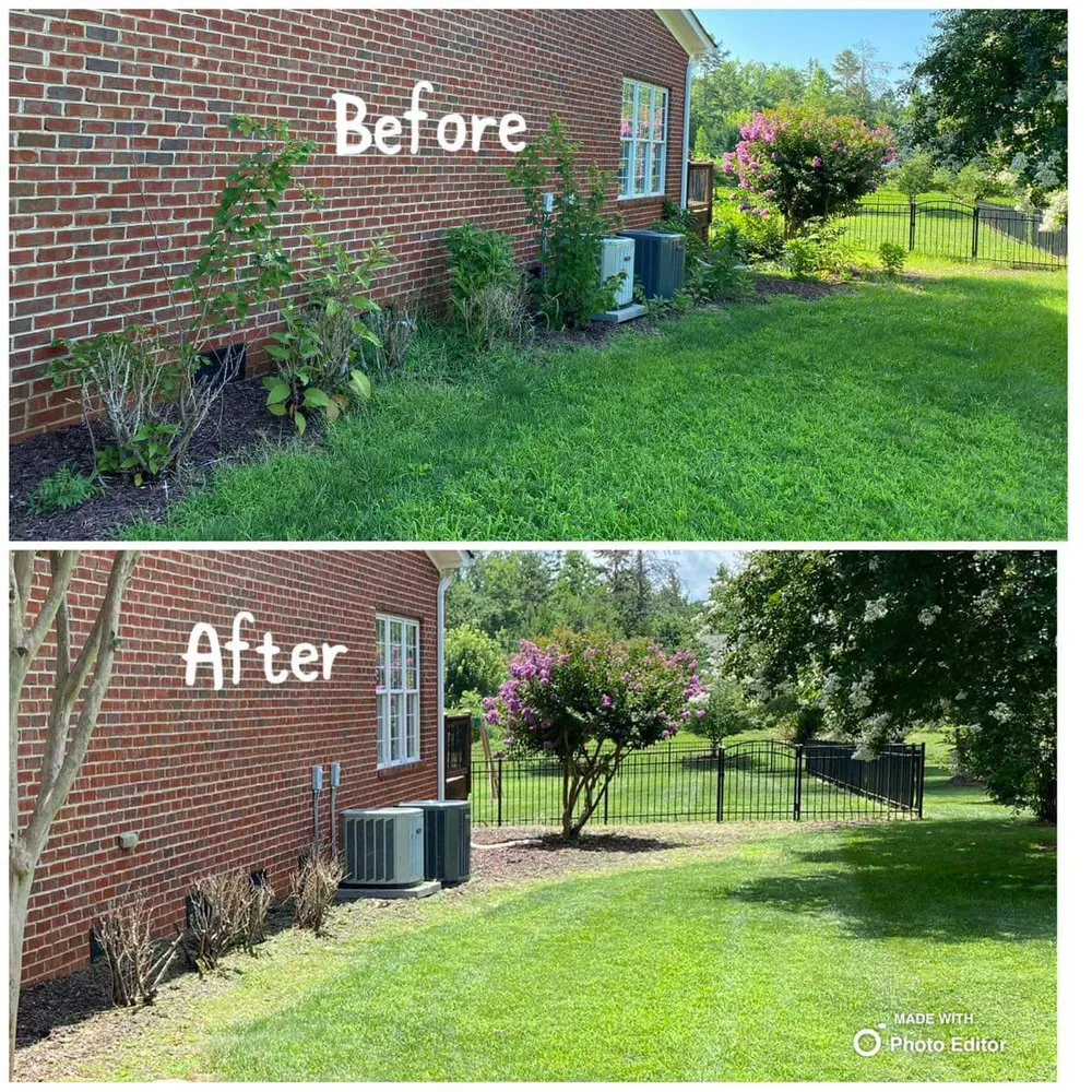 Top-rated lawn care service experts serving Monroe, NC - Green Garden Lawn Care