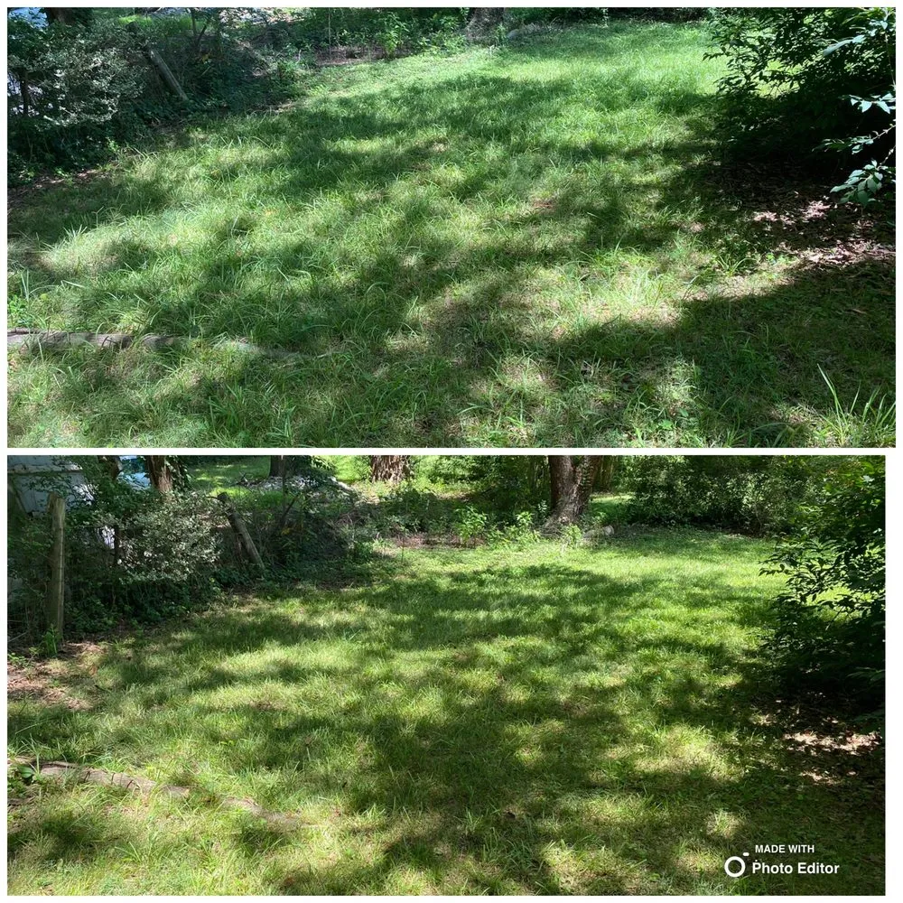 Trusted landscape installation for residential properties across Monroe, NC - Green Garden Lawn Care