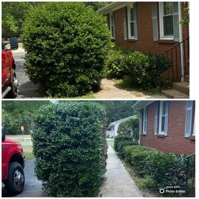 Green Garden Lawn Care Logo