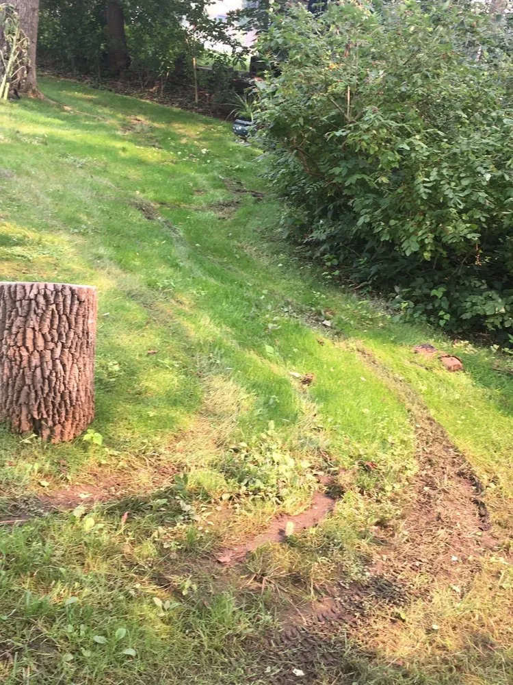 Local outdoor landscaping in Plainfield, NJ - Green Garden