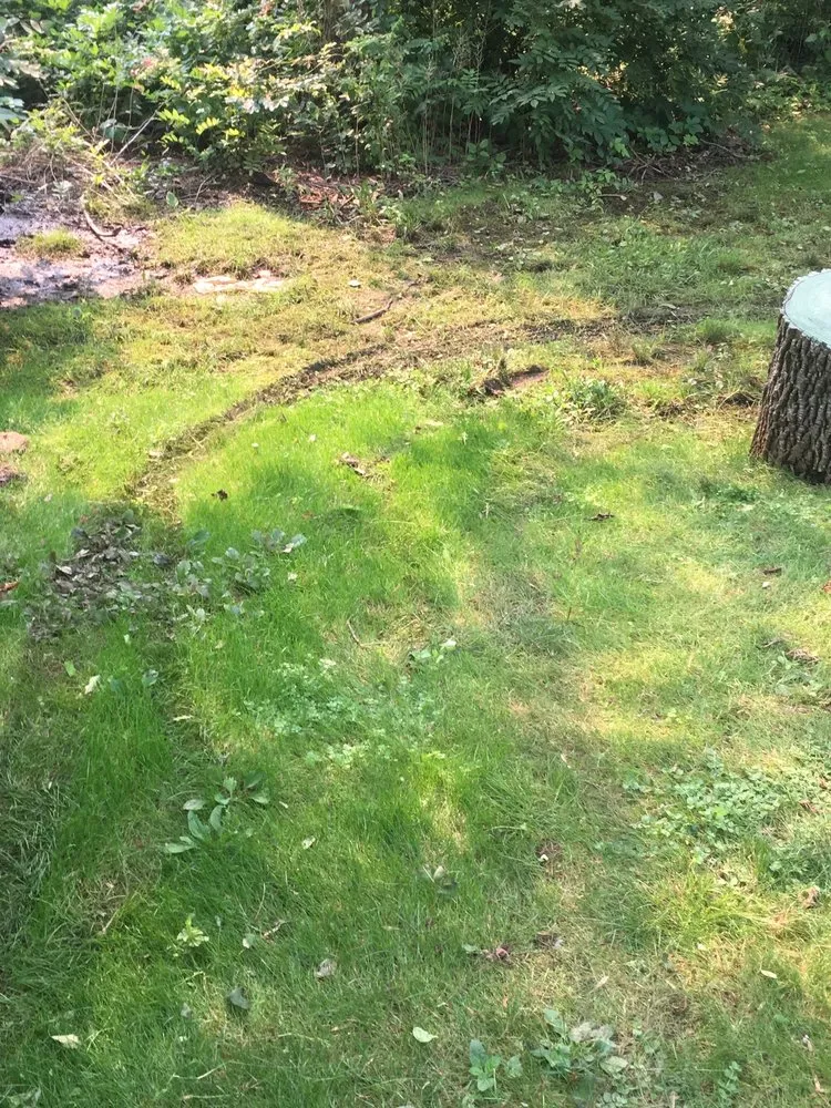 Professional lawn care service experts serving Plainfield, NJ - Green Garden