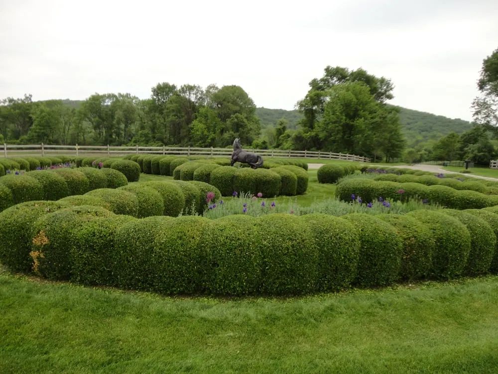 Professional residential landscaping for residential properties in Plainfield, NJ by Green Garden