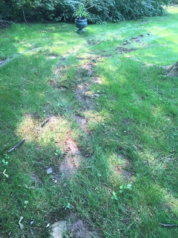 Custom outdoor landscaping for outdoor upgrades across Plainfield, NJ - Green Garden