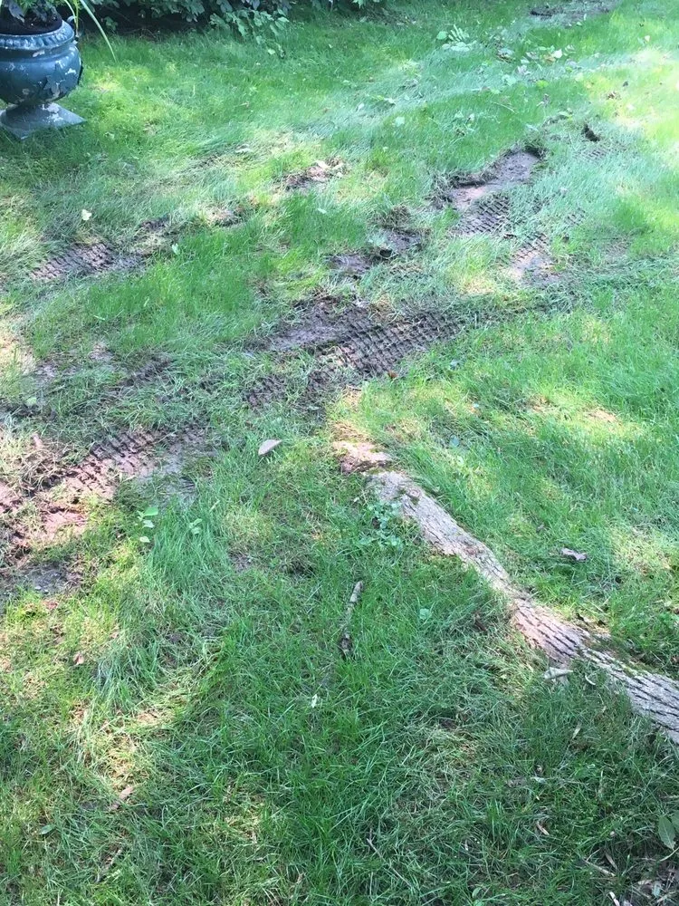 Expert landscape design in Plainfield, NJ - Green Garden