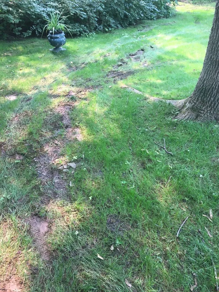 Local landscape installation for outdoor upgrades across Plainfield, NJ - Green Garden