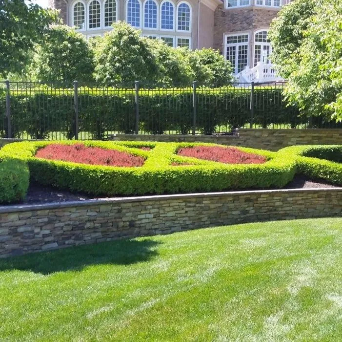 Reliable yard maintenance in Trenton, NJ by Green Garden Thumb LLC- landscaping