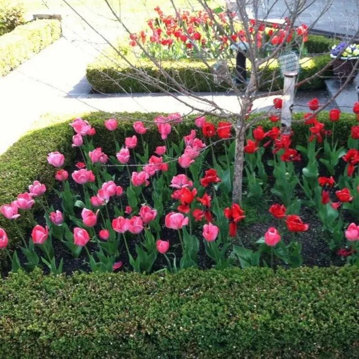 Professional landscape installation in Trenton, NJ - Green Garden Thumb LLC- landscaping