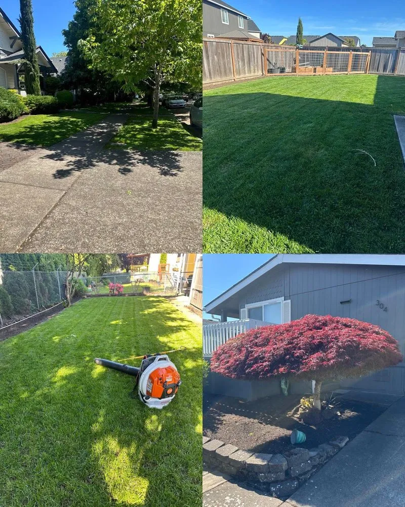 Expert yard cleanup service for year-round maintenance in Coburg, OR by Green Gardens Full Lawn Care Services