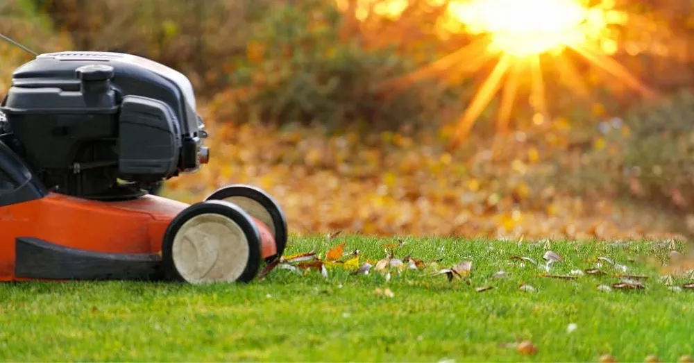 Top-rated landscaping services experts serving Coburg, OR - Green Gardens Full Lawn Care Services