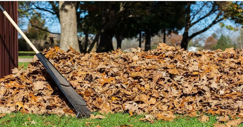 Reliable lawn care service in Coburg, OR - Green Gardens Full Lawn Care Services