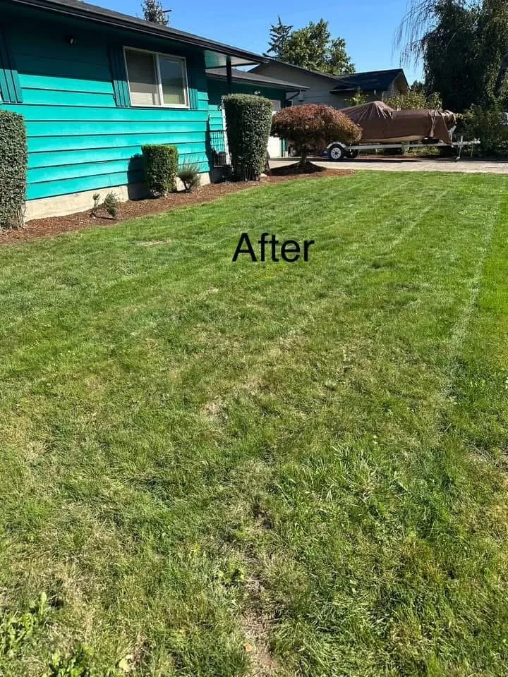Professional yard cleanup service in Coburg, OR by Green Gardens Full Lawn Care Services