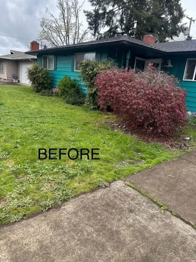 Local landscape installation in Coburg, OR by Green Gardens Full Lawn Care Services