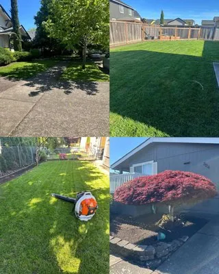 Green Gardens Full Lawn Care Services