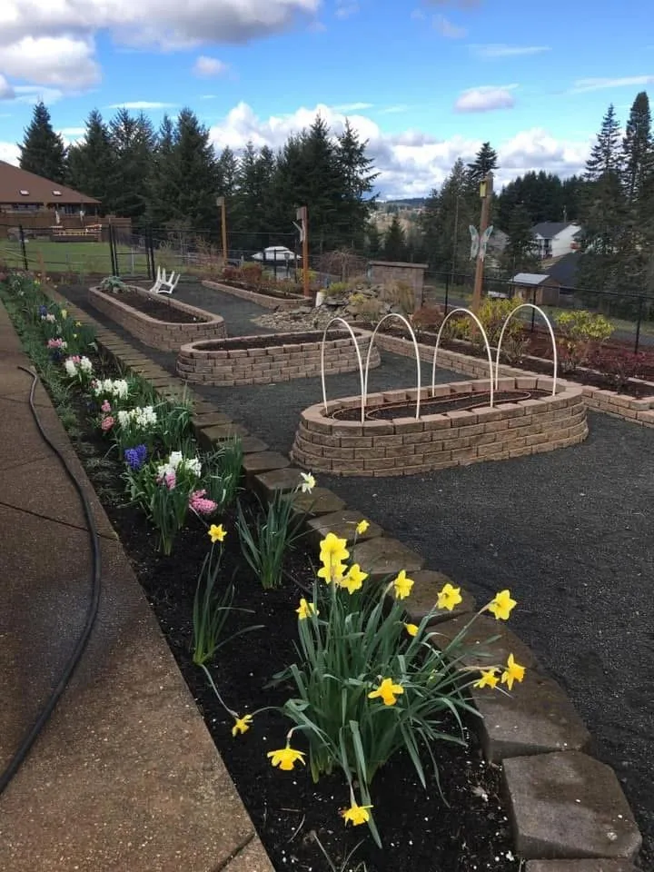 Trusted residential landscaping for outdoor upgrades across Salem, OR - Green Gardens Landscape