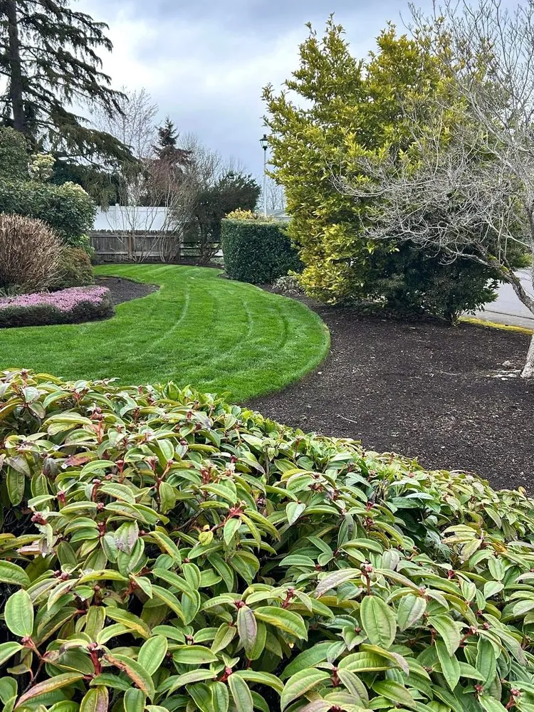 Local landscape installation for homes across Salem, OR - Green Gardens Landscape